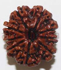 9 mukhi 26922 20mm